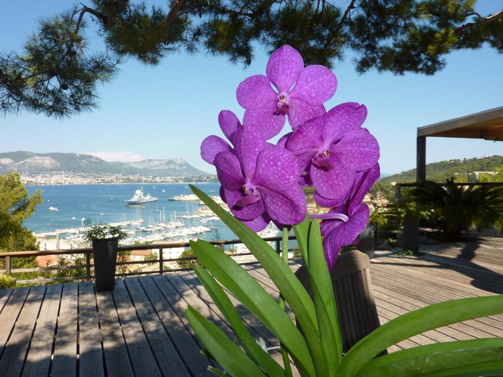 Home6 Bed & Breakfast Saint-Mandrier-sur-Mer